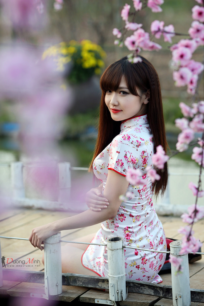 青云志